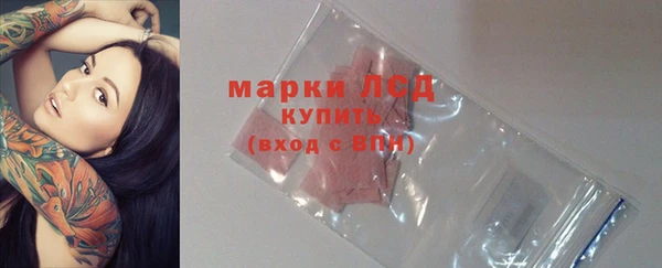 mdpv Богородицк